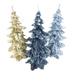 Svijeća smreka srednja